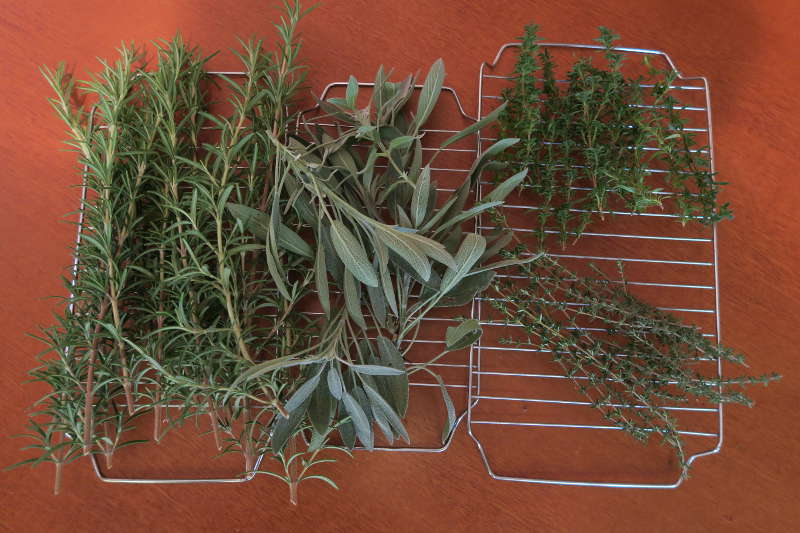 herbs_drying_on_rack
